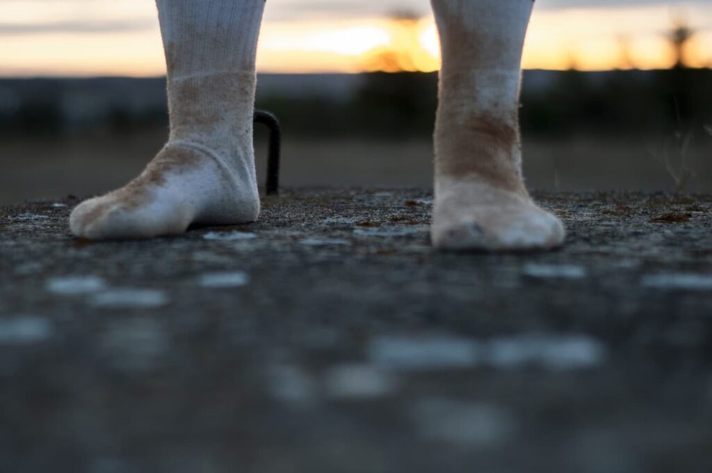 CultivARTE_2 Fotografía de pies con calcetines cubiertos de tierra y arena
