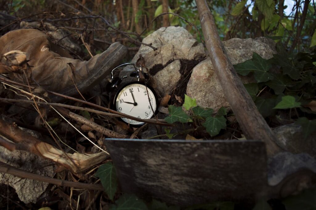 CultivARTE_3 Bota, reloj y azada entre ramas, hojas y piedras