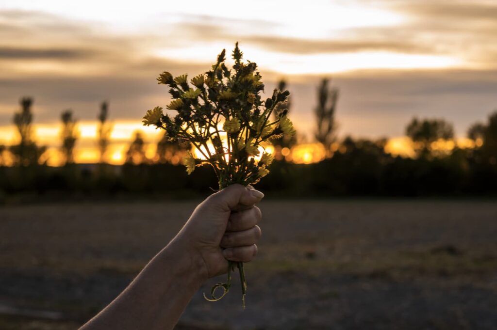 CultivARTE_5 Ramo de flores agarrado con mano al atardecer