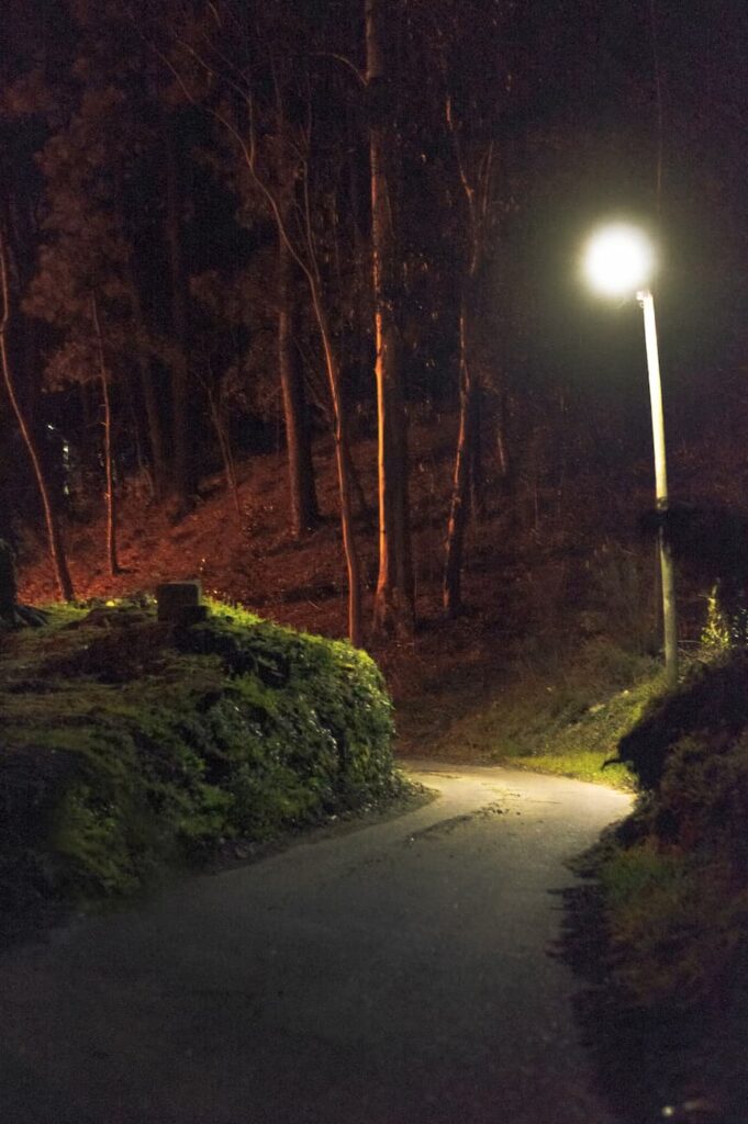 2019-20_P.I. DE FOTOGRAFIA-CFGS_FernandezAmorinEsterMaria_BilisNegra_JPGFINAL_004 Fotografía del proyecto Bilis Negra: Camino iluminado por una farola