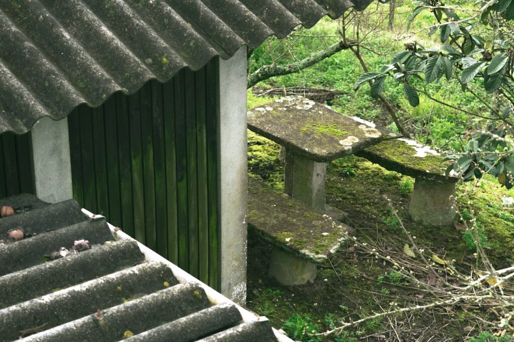 2019-20_P.I. DE FOTOGRAFIA-CFGS_FernandezAmorinEsterMaria_BilisNegra_JPGFINAL_007 Fotografía del proyecto Bilis Negra: Mesa en el bosque