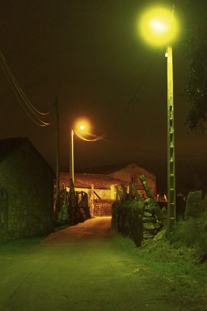 2019-20_P.I. DE FOTOGRAFIA-CFGS_FernandezAmorinEsterMaria_BilisNegra_JPGFINAL_022 Fotografía del proyecto Bilis Negra: Fotografía nocturna de ambiente rural