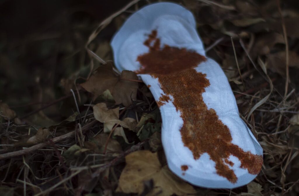 Tetrapack_EsterFdez_03 Compresa manchada entre hojas secas