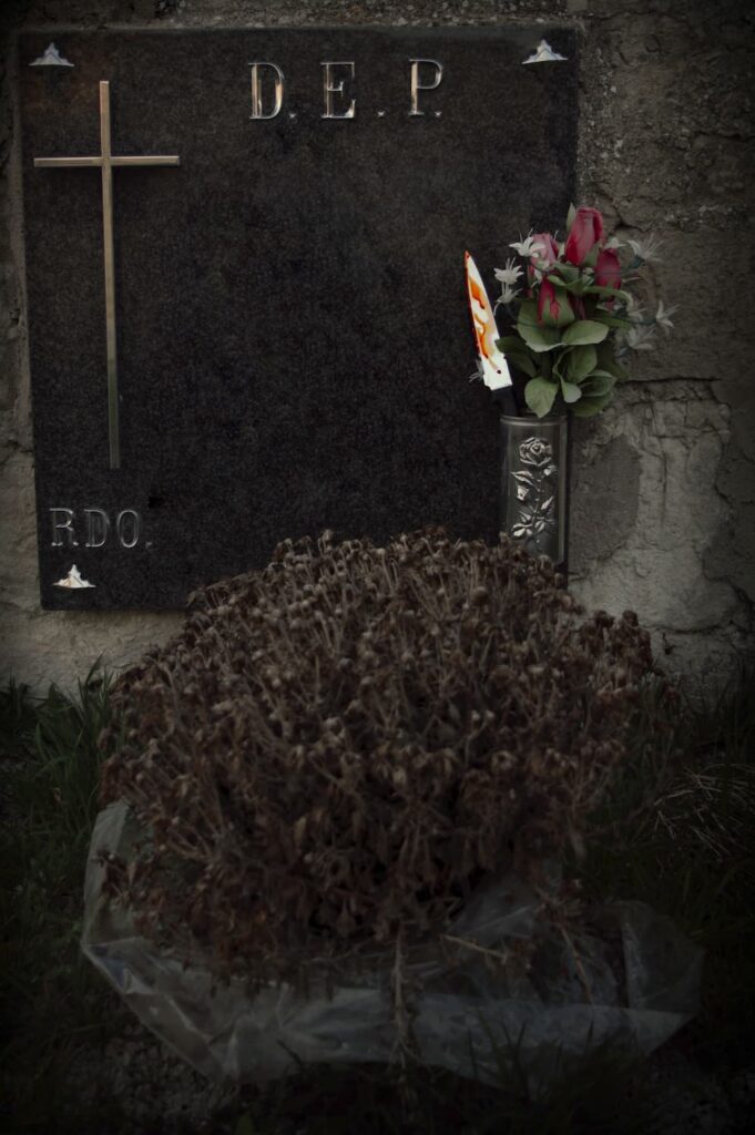 Tetrapack_EsterFdez_08 Cuchillo entre flores en una lápida