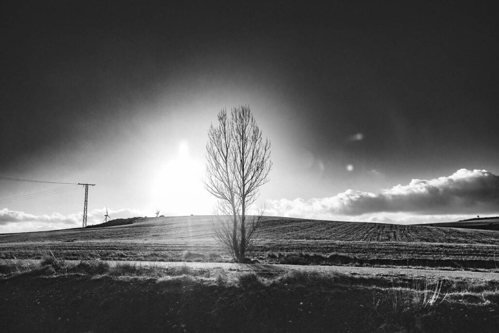 OX. OY (10)_1 Fotografía del proyecto Olvido X. Recuerdo Y.