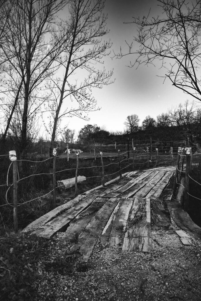 OX. OY (14)_1 Fotografía del proyecto Olvido X. Recuerdo Y.