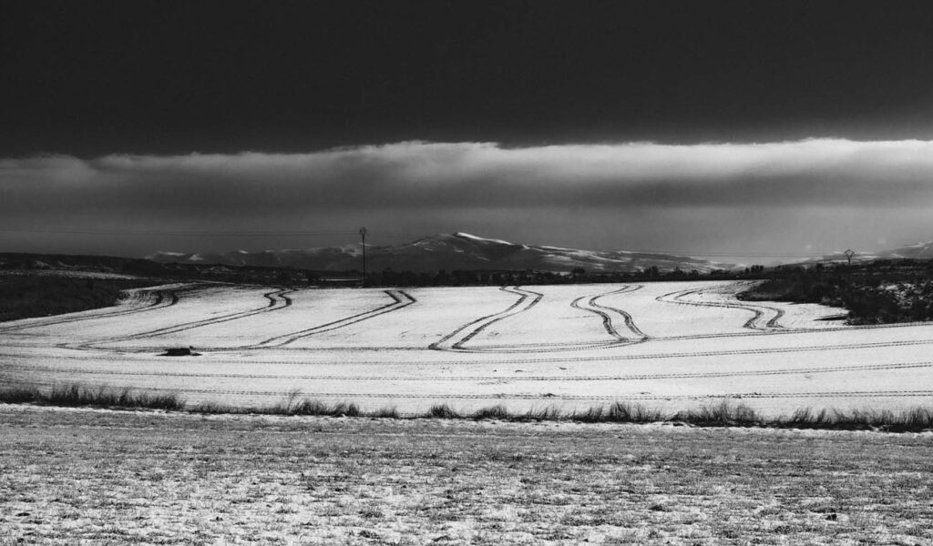OX. OY (28)_1 Fotografía del proyecto Olvido X. Recuerdo Y.