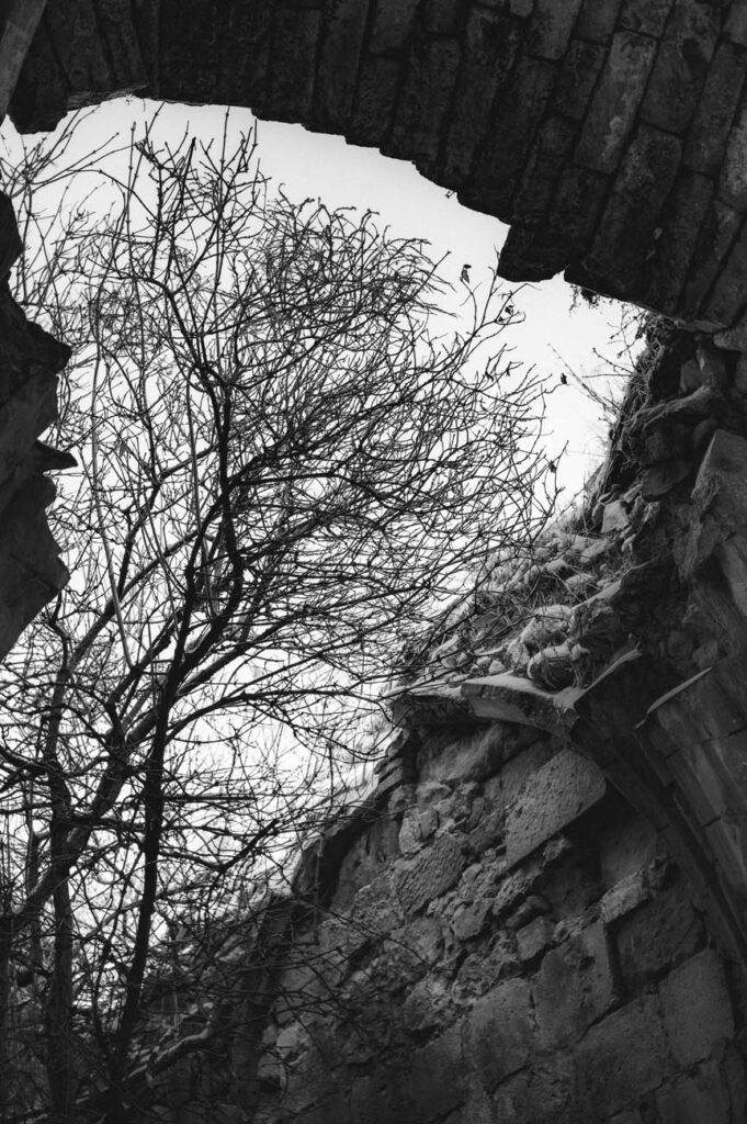 OX. OY (29)_1 Fotografía del proyecto Olvido X. Recuerdo Y.