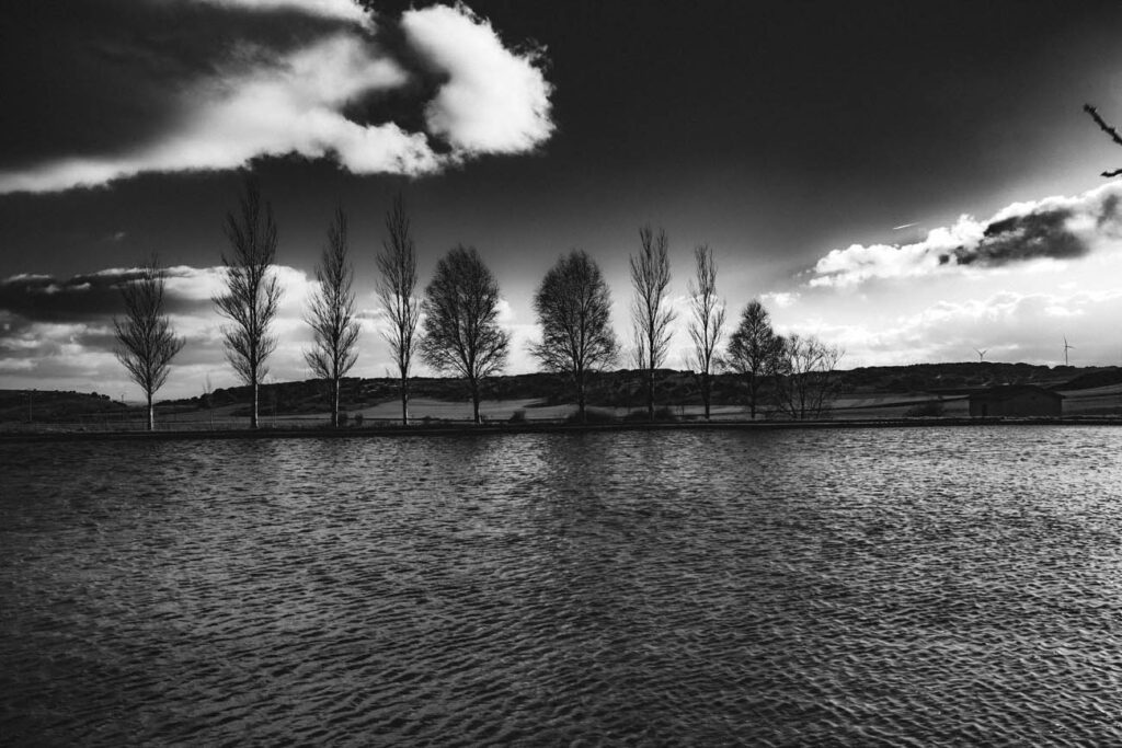 OX. OY (2)_1 Fotografía del proyecto Olvido X. Recuerdo Y.